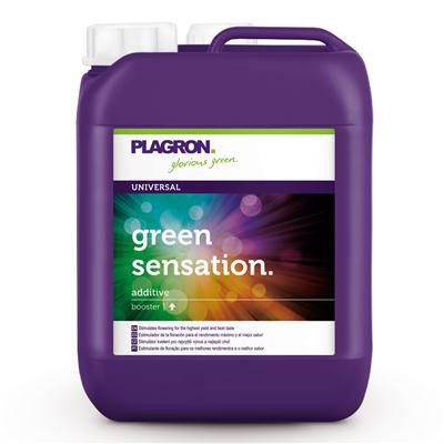 plagron green sensation